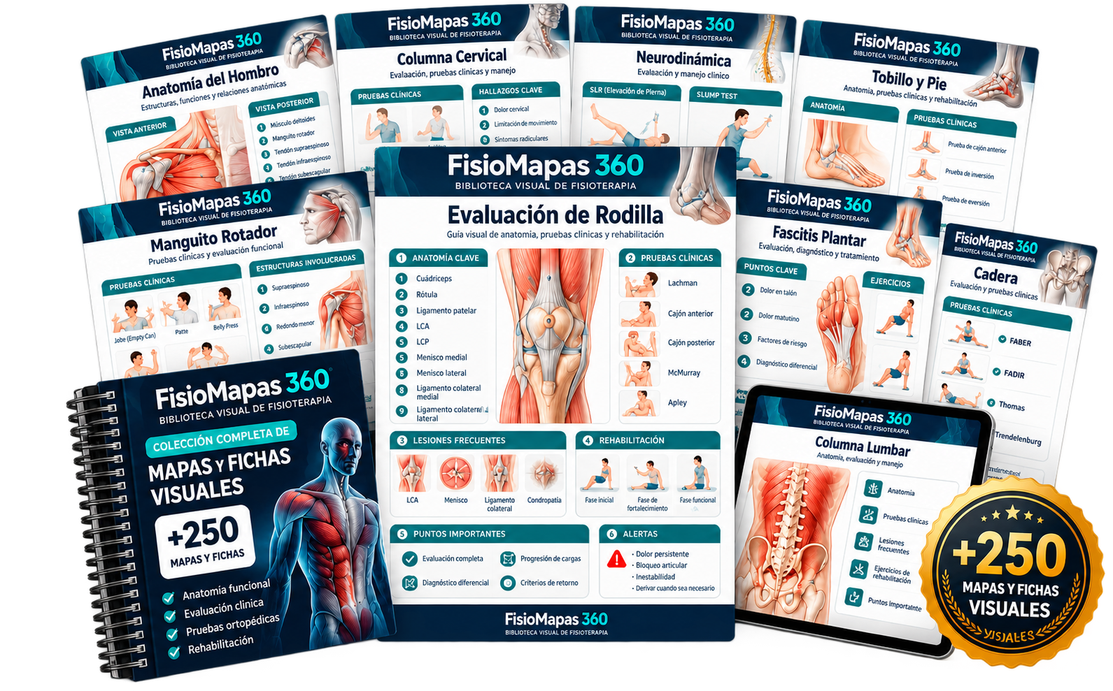 FisioMapas 360: colección visual de mapas y fichas de fisioterapia musculoesquelética